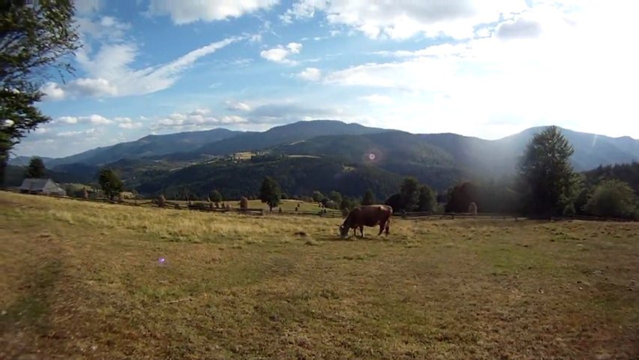 Aventuri pe bicicleta - Expeditie in Muntii Apuseni - Traseul: Camping Glavoi(Padis) - Arieseni