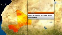 Mali : Les djihadistes acculés dans les Ifoghas