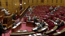 Projet de loi - élection des conseillers départementaux - Interventions du Sénateur-Maire, Philippe Kaltenbach