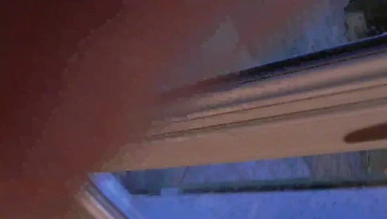 Vidéo n°22 - 5 février 2013 - Je suis inquiète .. je jappe