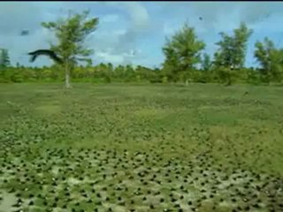 Kur-an-ı Kerim Türkçe Meali 002Bakara Süresi_0004