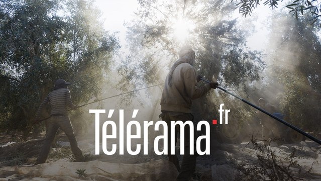 Visite guidée : Cadavre exquis à Aix-en-Provence