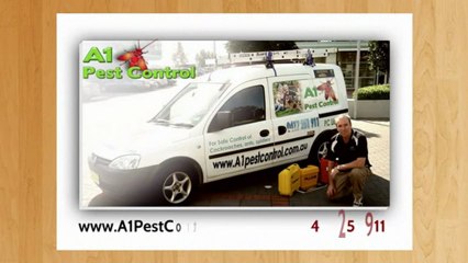 Pest Control Inner West | Call 0417 251 911