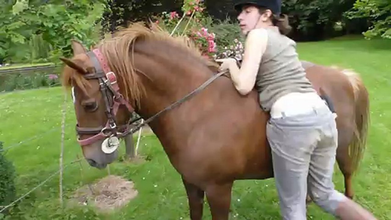 Olanda sac à patates