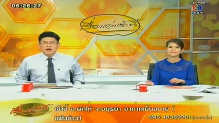 RuengLoa-6-Feb-2013-1