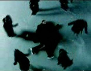 라이브블랙잭 ‥→Ｂ­Ａ­Ｃ­６­６­６­.Ｃ­Ｏ­Ｍ←‥ 라이브블랙잭게임