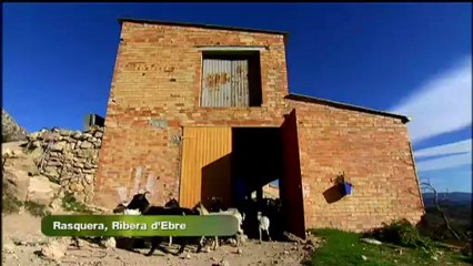 Espai Terra - dimarts 5 de febrer