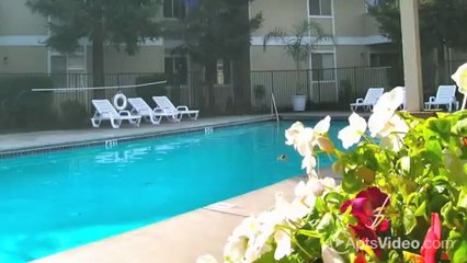 Autumn Run Apartments in Woodland, CA - ForRent.com