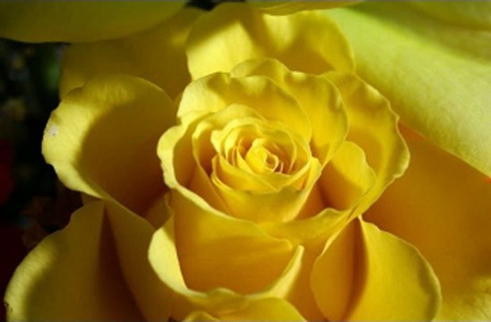 플레이텍 ｝■■VIP447.COM■■｛ 카지노 태양성카지노