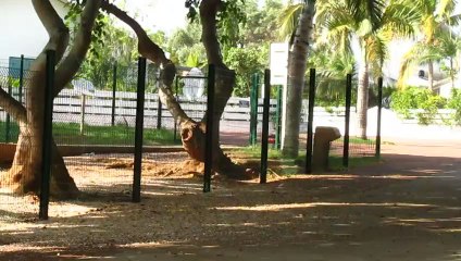 07-02-13 un matin sur son vélo