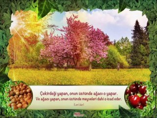 Muhteşem Bir İlahi Nettim Neyledim