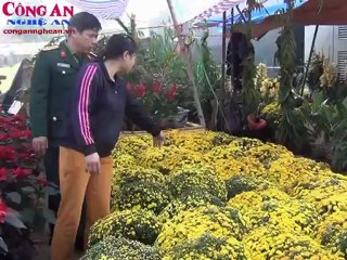 Trầm lắng thị trường hoa tết
