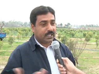 Sots of Democracy_(AWAN)