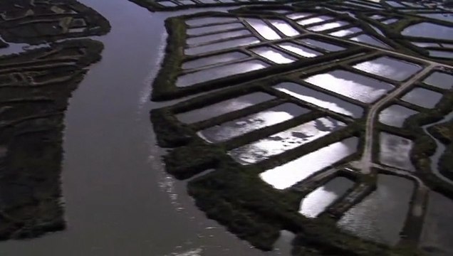 claires huîtres Marennes Oléron