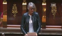 Véronique Massonneau - Discussion générale de la proposition de loi relative aux Lanceurs d'alerte