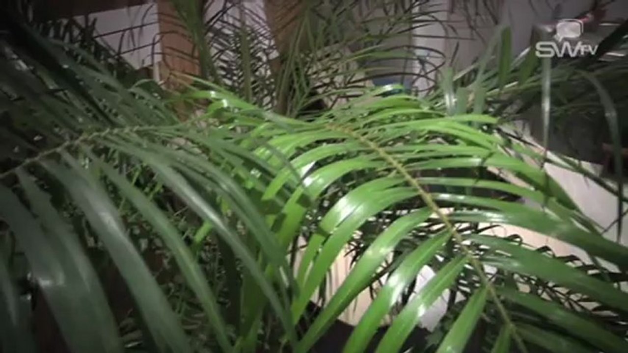 Centre Bien-être et Spa privé à Braine-le-Comte - OCEAN'S COCOON | By Swtv