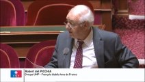 Robert del Picchia, Sénateur repésentant les Français étabis hors de France : Cumul des pensions de retraite