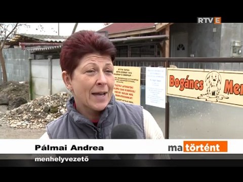 Ma történt Kukába dobta kutyáját 2013.02.04.