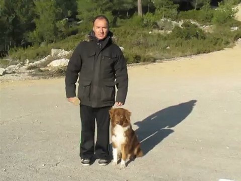 Dressage canine la ciotat: Le rapport d'objets