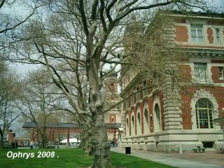 Ellis Island .