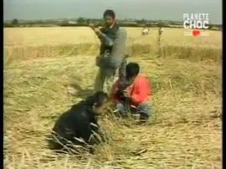 Les Théories du complot: Les aliens