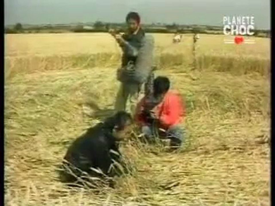 Les Théories du complot: Les aliens