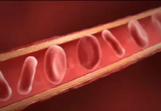 Tous les bienfaits de l'aloé véra