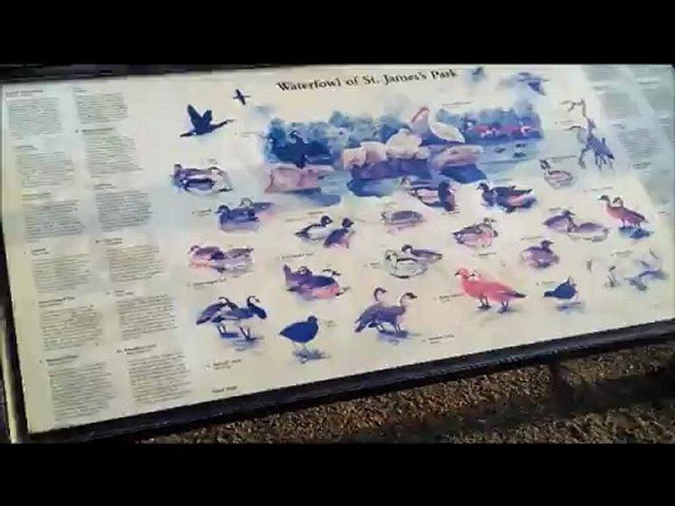 Film_long_6fev_avec_bande_son