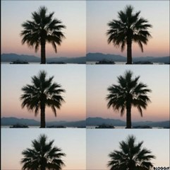 Traces de toi _ Hugues Fantino