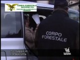Trapani in manette impegato forestale assenteista tva notizie 9 febbraio