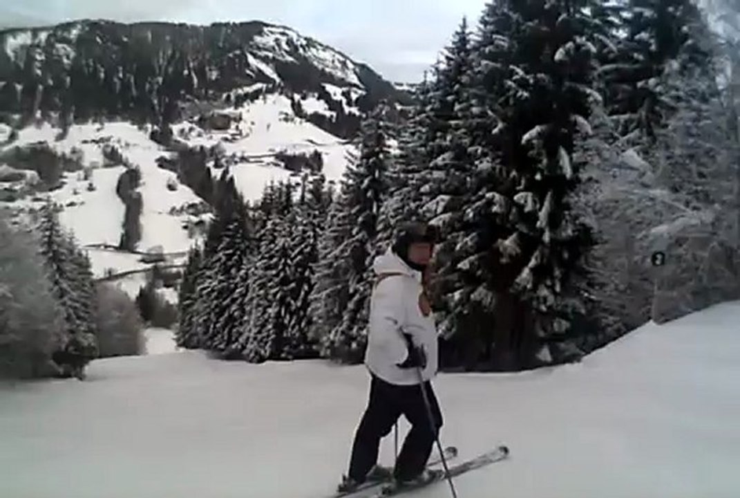 Lievre(bleue)et Aigle (noire)sur Flumet