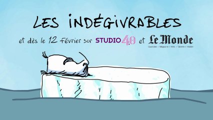 Les Indégivrables - Teaser 2
