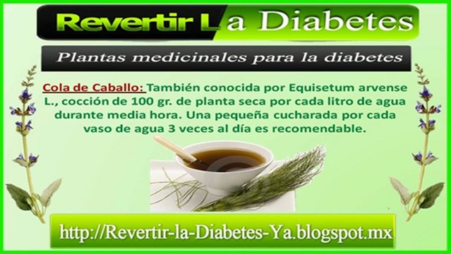 Como Curar la Diabetes-Como Revertir la Diabetes