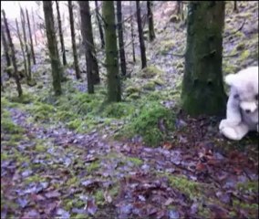 Jesus v Zombies! How to survive the apocalypse