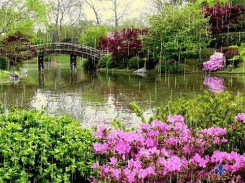 SEVCAN ORHAN @@ EZELEDE DELİ GÖNÜL EZELE