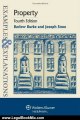 Legal Book Review: Examples & Explanations: Property, Fourth Edition by Joseph Snoe, Barlow Burke