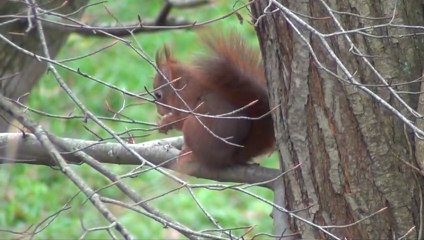 La vallée du Goëlo 2012