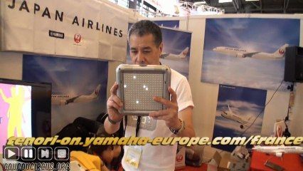 Japan Expo 2012 Reportage (23/) Paris Nord Villepinte