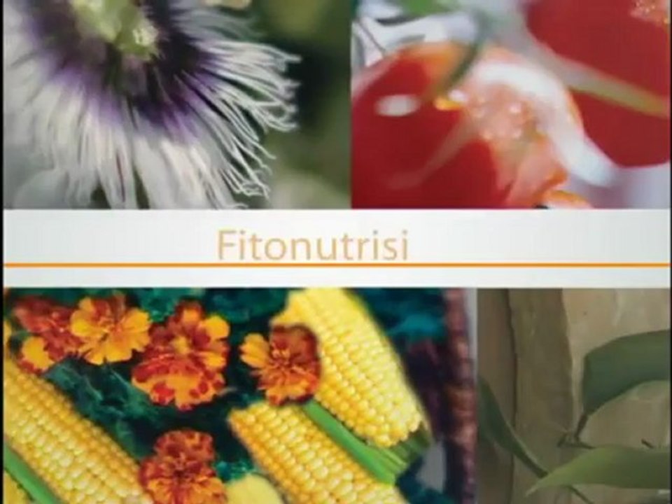 Vitamins For Children