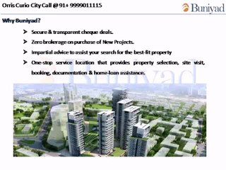 Orris Curio City | 99990 11115 | Buniyad.com