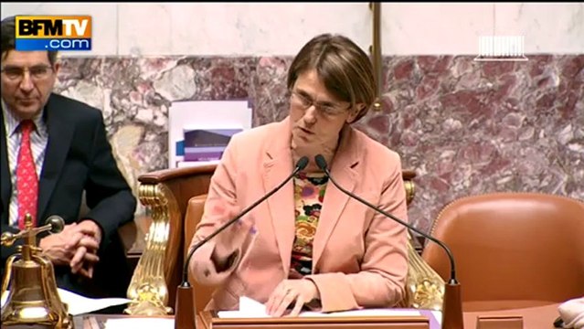 Mariage homo : droite et gauche s'écharpent...encore - 7/02