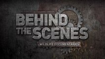 Wildlife Documentaries: Behind the Scenes - Series Trailer