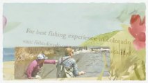Fly Fishing- Colorado