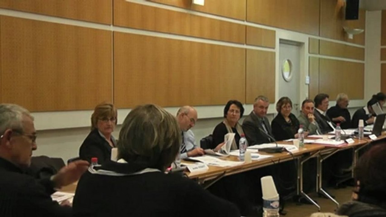 CM 29 01 2013 - Vidéoprotection - C. Escrig