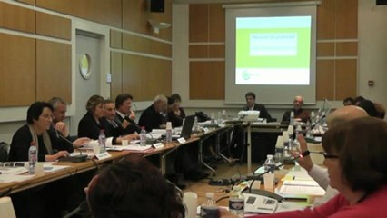 CM 29 01 2013 - Vidéoprotection - J. Atlan