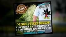 World of Seeds - Cannabis Seeds Bank