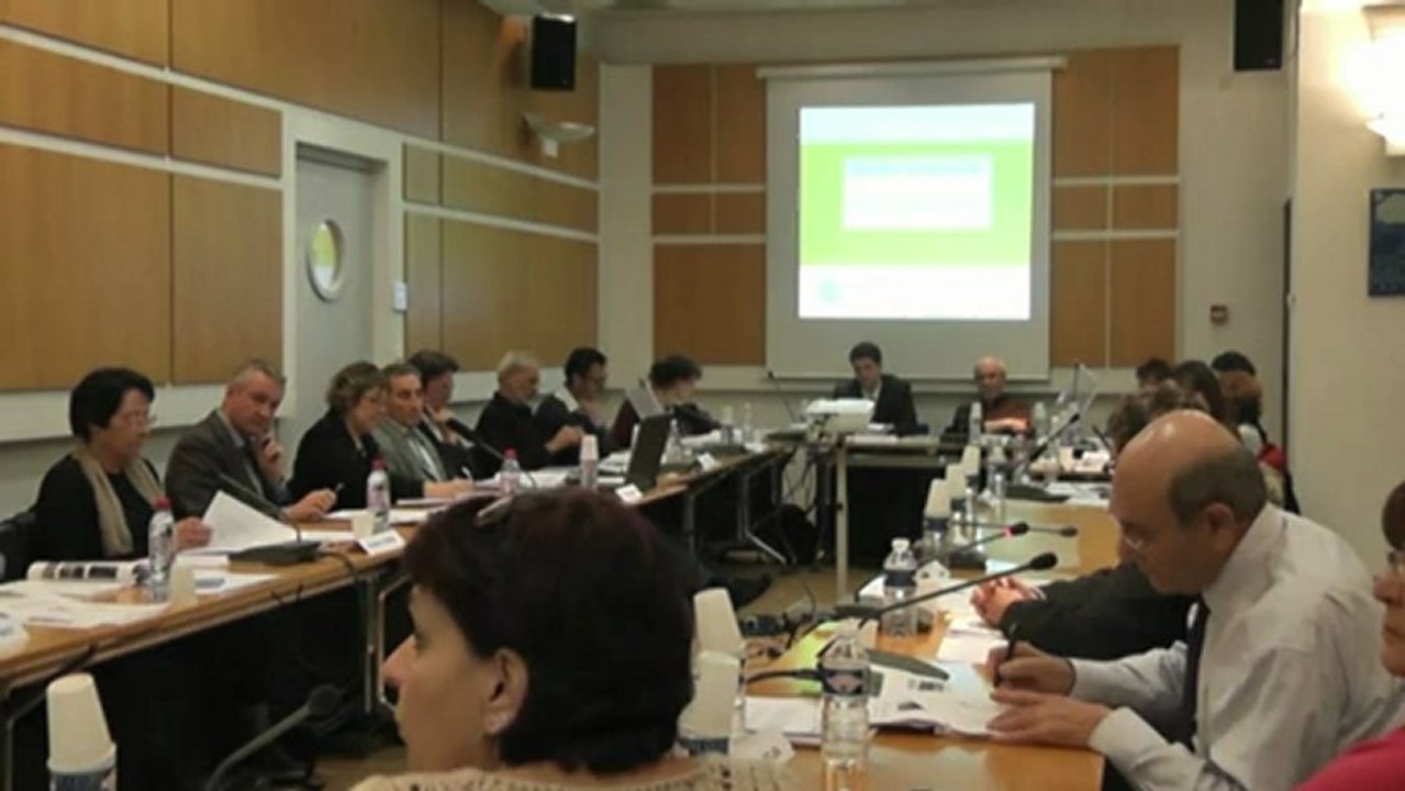 CM 29 01 2013 - Vidéoprotection - P. Carabasse