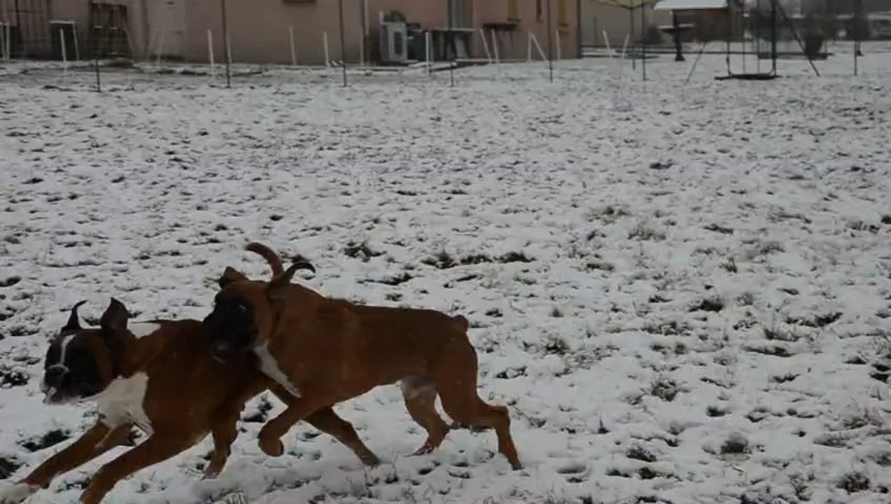 HIZMO ET GUILI DU FAUBOURG DES HIRONDELLES