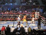 Boxing Fight Joey Dawejko VS Didier Bence Live