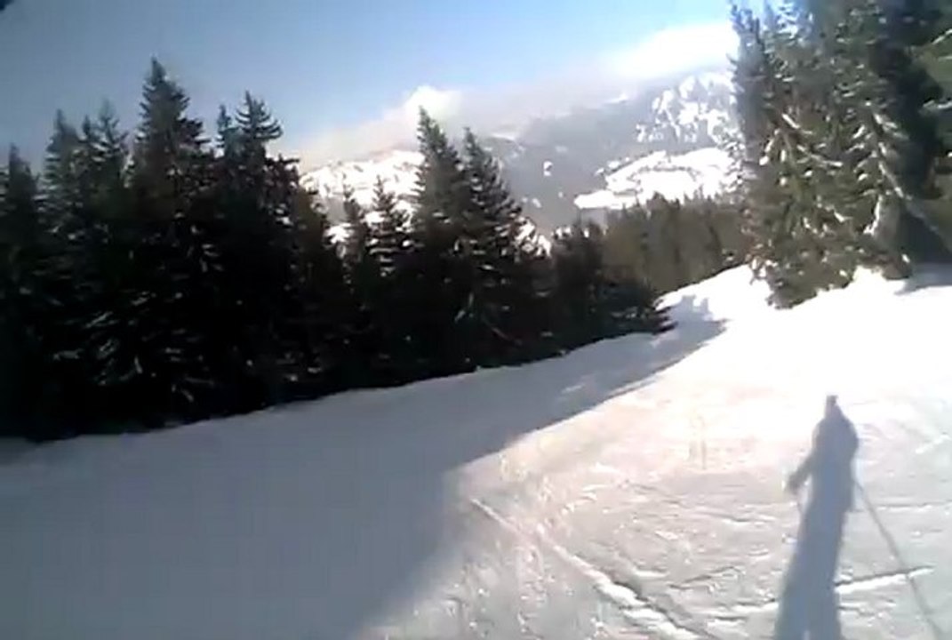 Belette(verte)sur Flumet(jusque TK du Lac)